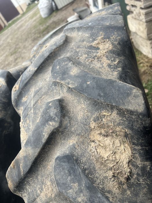 Opony Dunlop 12.4 R24