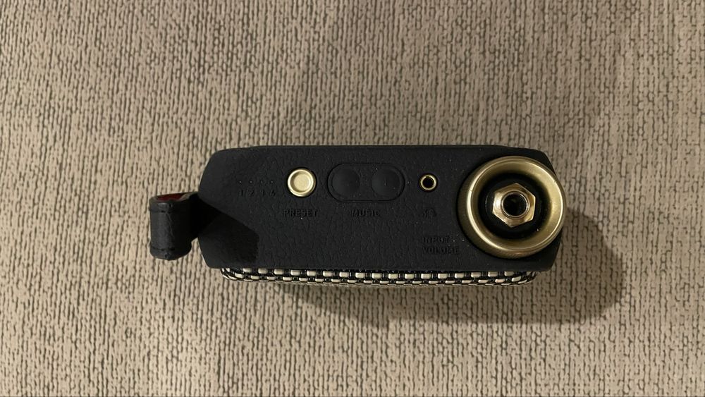 Positive Grid Spark Go