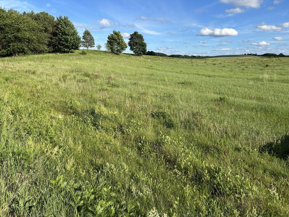 Działka Tągowie gmina Tuchomie - Widok 2