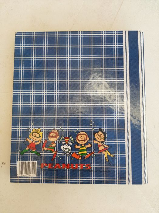 Dossier do Snoopy Woodstock