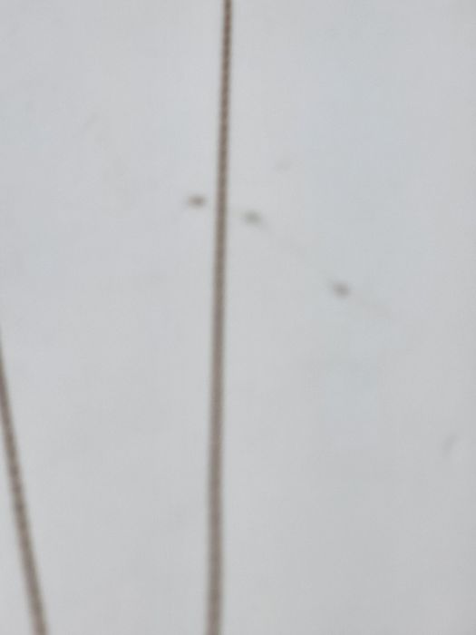 Łancuszek złoty 585 40cmKomis madej Gorlice