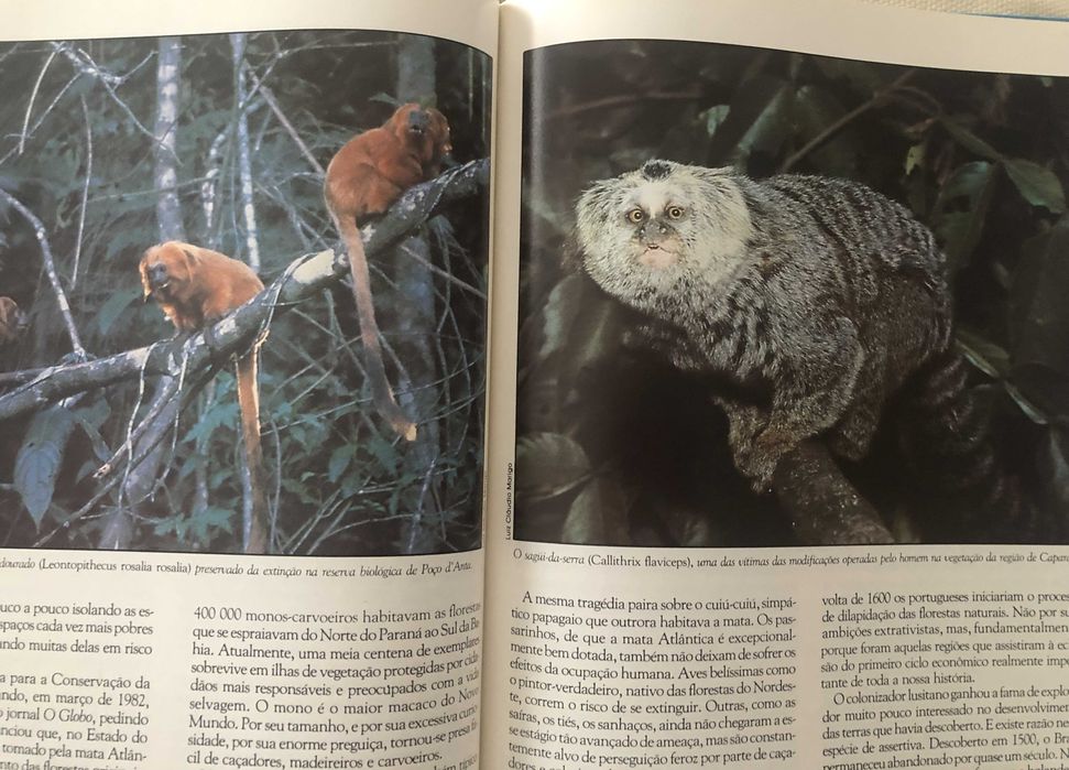 Livro "Onde Vivem Nossos Bichos" (5 grande biomas do Brasil)