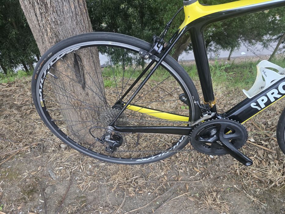 Bicicleta carbono xs 11x2v