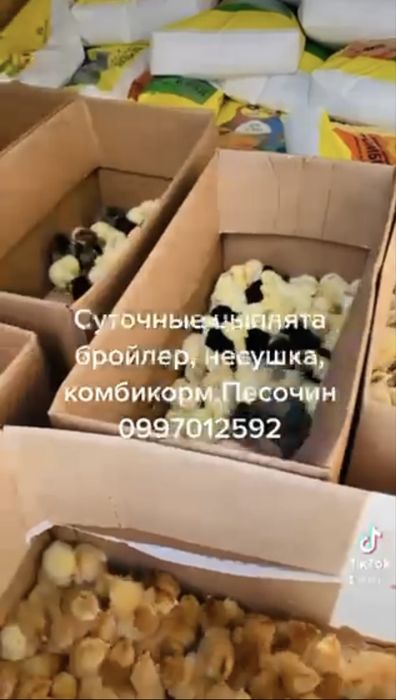 Комбикорм  старт для бройлера  Мультилайф