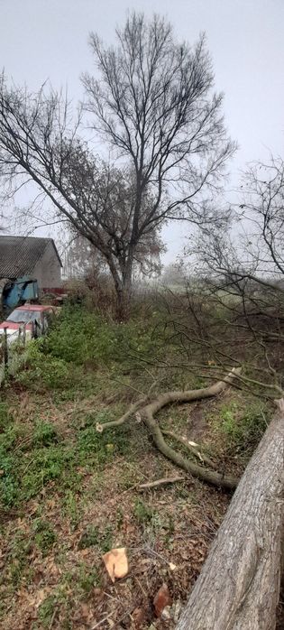 Wycinka drzew cięcie i łupanie