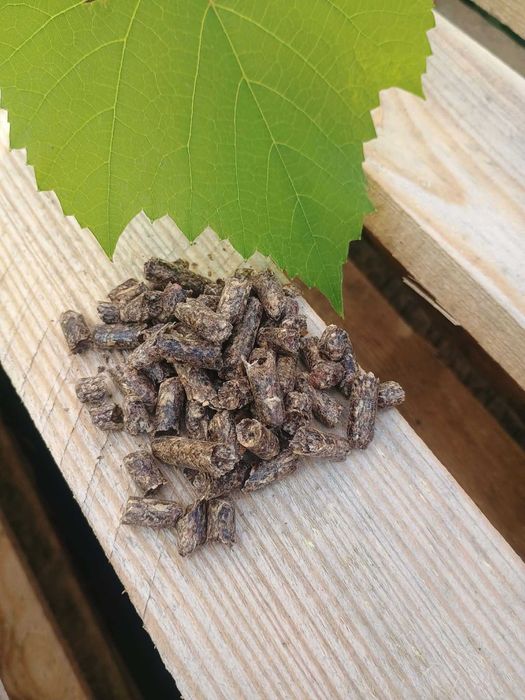 Pellet klasy premium A1 od ręki dąb dębowy dostępny