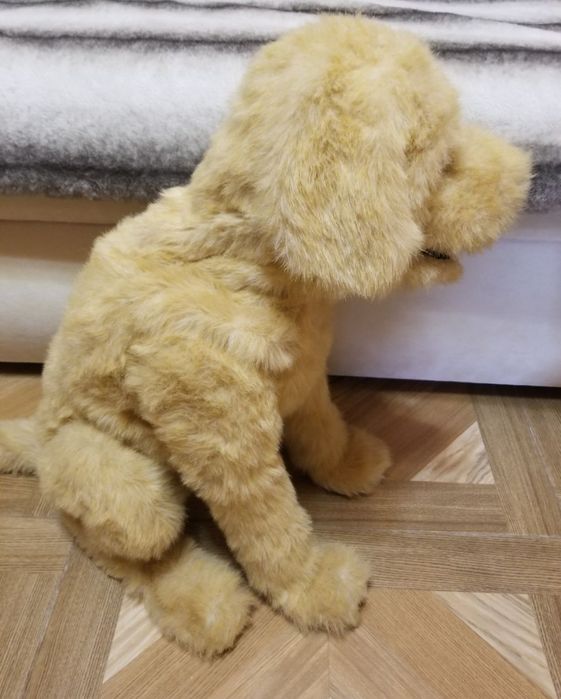 Интерактивная собачка, щенок, собака Бисквит Hasbro FurReal friends