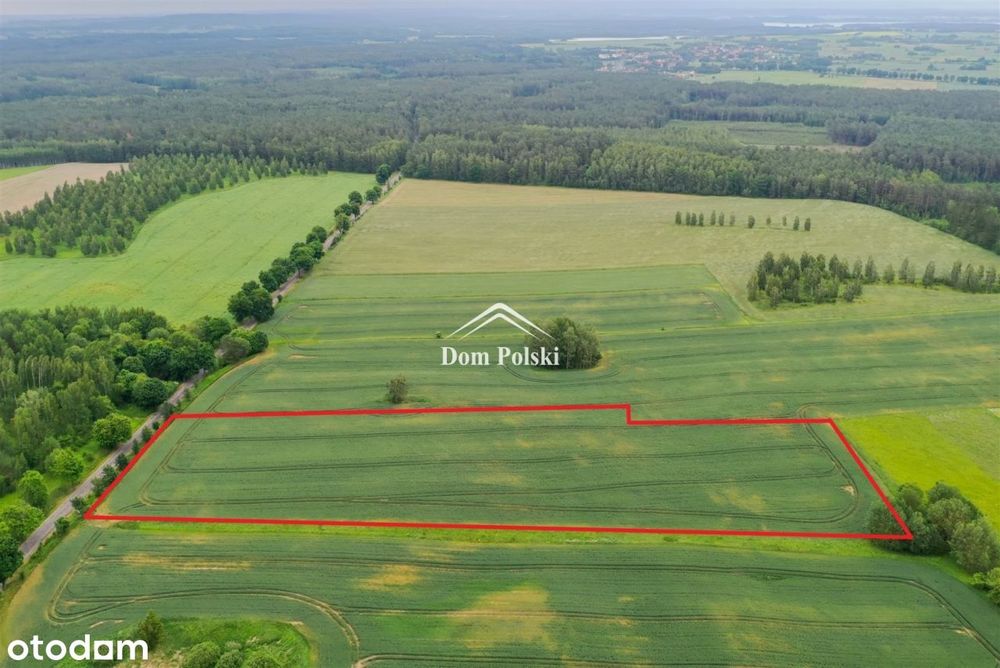 Działka inwestycyjna 2,10 ha na Mazurach - Harsz - Widok 3