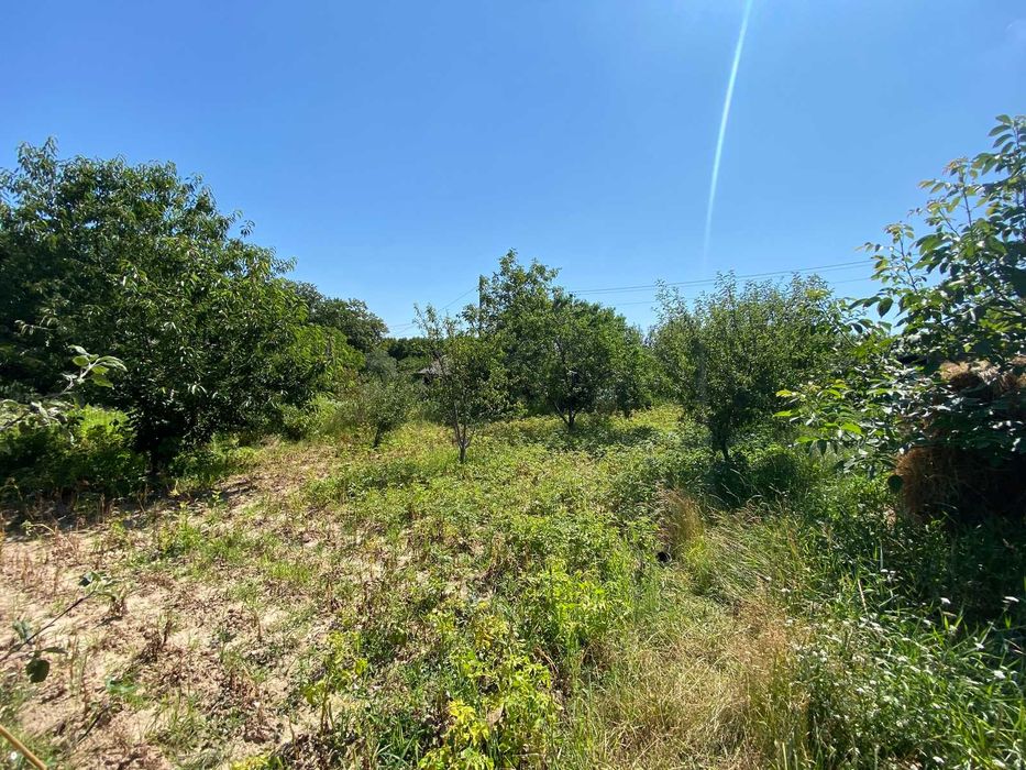 Продається земельна ділянка з криницею та плодовими деревами!