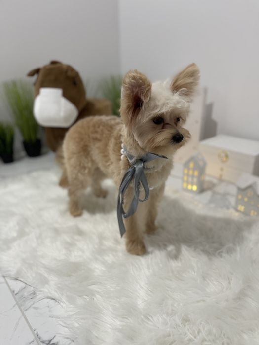 Помапу — Доставка по Україні та Європі  з любовю