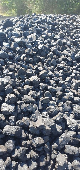 Wegiel kostka import gruby sort Sokoły