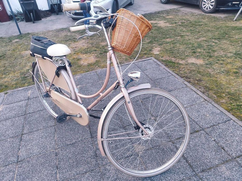 Rower Betavus Old Dutch