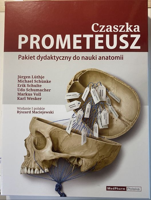 Czaszka PROMETEUSZ, pakiet dydaktyczny do nauki anatomii