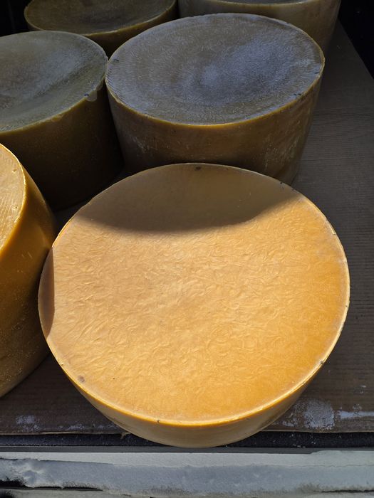 Продам віск бджолиний