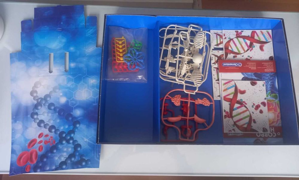 O corpo Humano | Ciência e Jogo | 9+