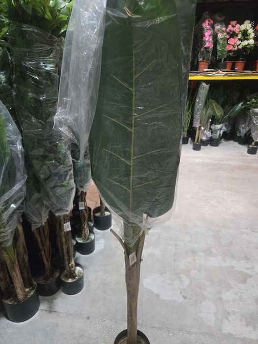 Bananeiras realistas 1 tronco lindissimas para entregas