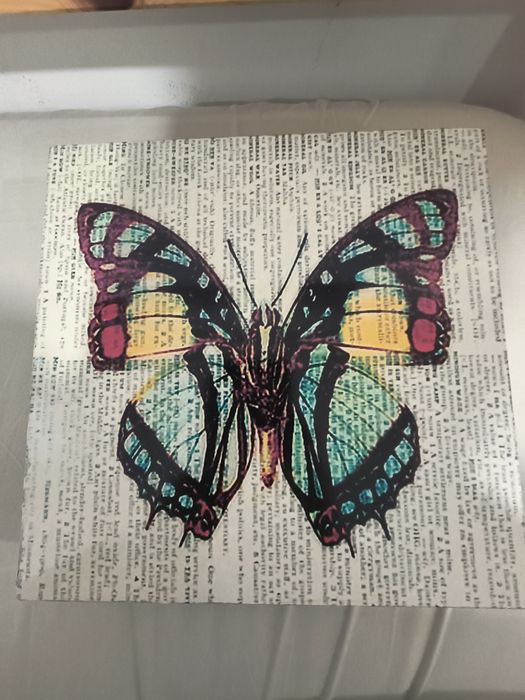 Caixa borboleta para arrumação ou decoração