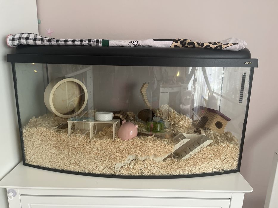 Akwarium terrarium dla chomika