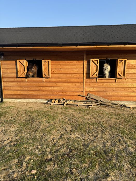 Stajnia wolnowybiegowa