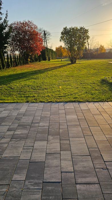 Trawniki , glebogryzarka separacyjna , sianie , równanie Krosno