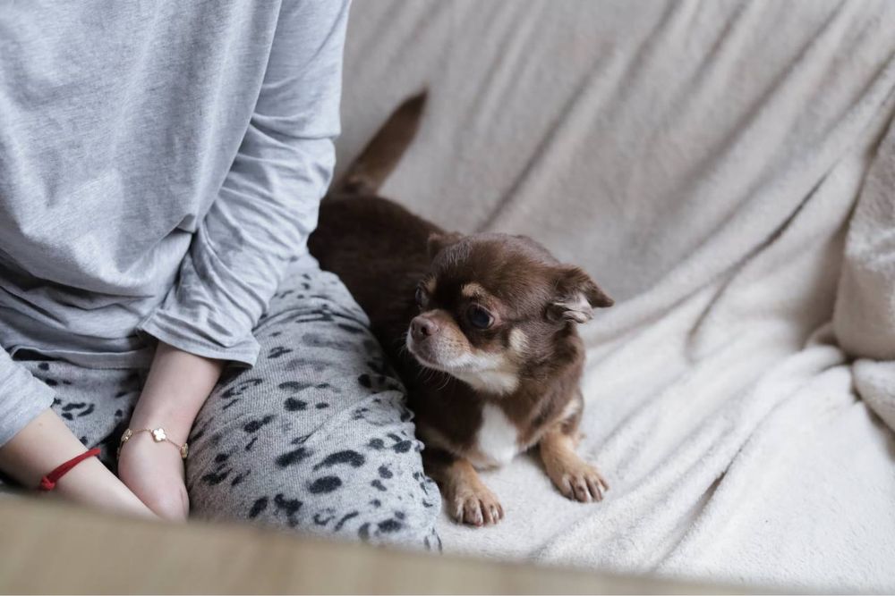 Взрослая девочка в семью