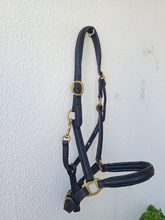 Vendo este material equestre