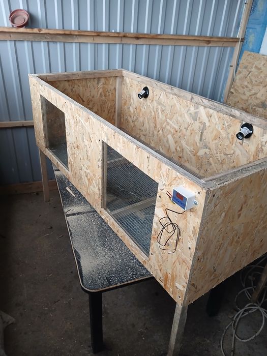 Брудер для бройлерів