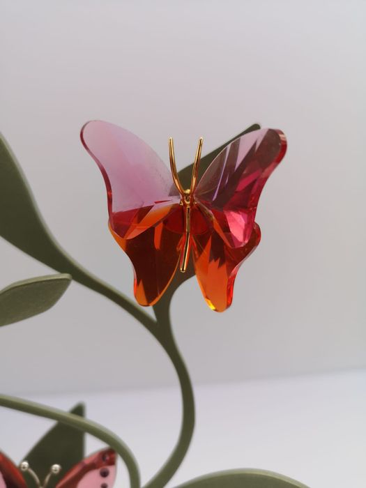 swarovski, cristal, borbuletas de colecção com árvore expositor