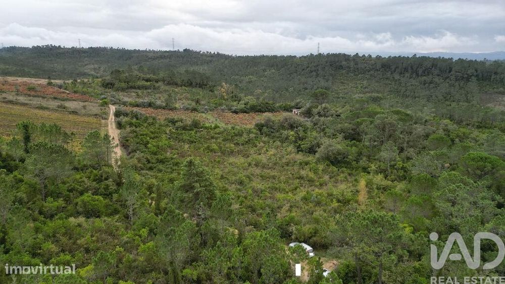 Terreno Agrícola em Condeixa-a-Velha e Condeixa-a-Nova