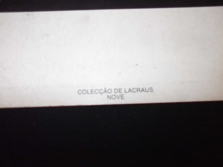 Livro O anjo e o viador do bordel de Pedro Parcerias