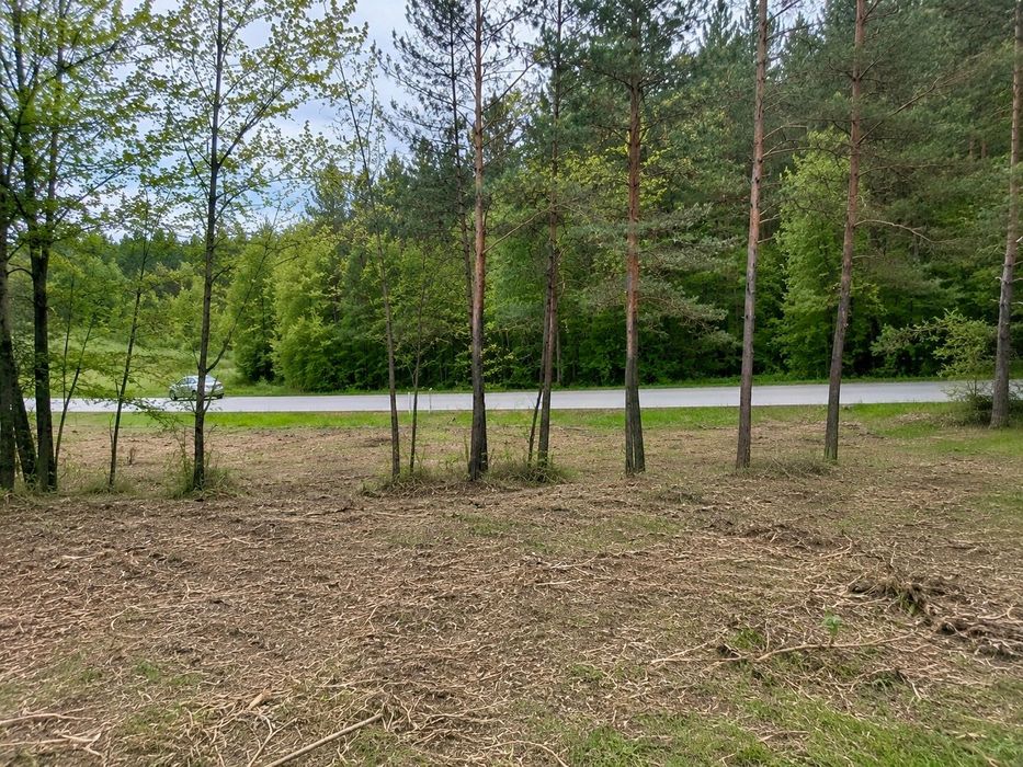 Widokowa działka budowlana przy lesie 3306 m² – Brudzów / Morawica - Widok 4