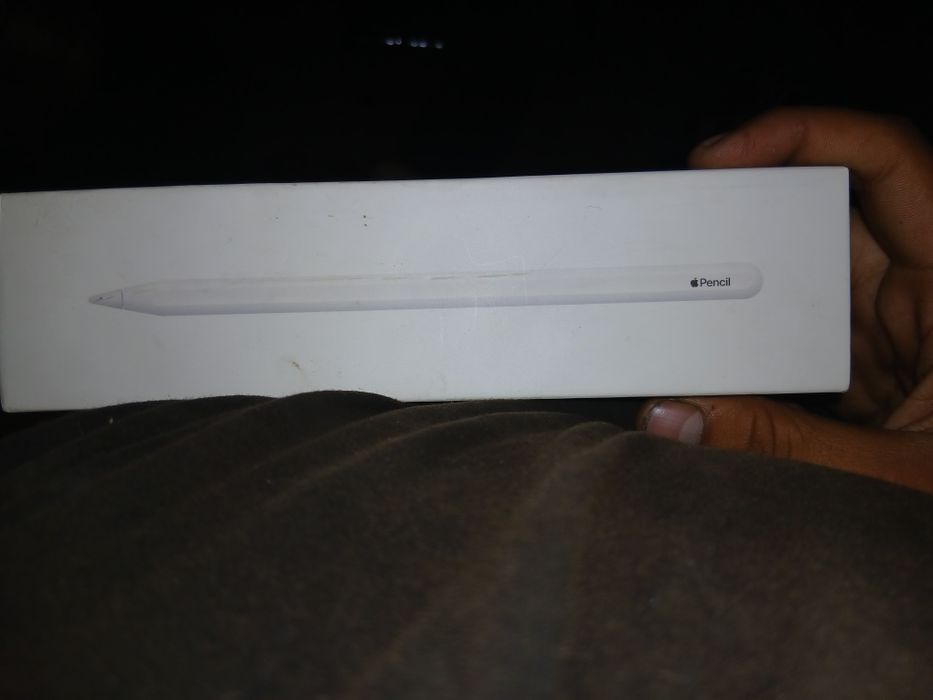 Apple Pencil 2ª Geração 100% Funcional - Aceito Trocas