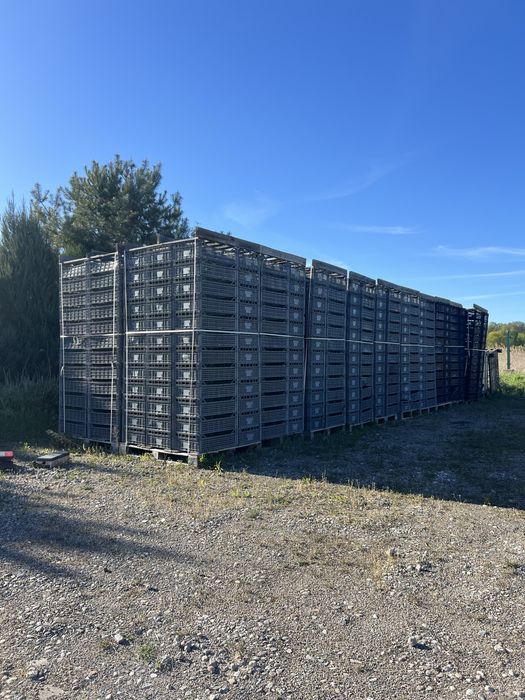 SKRZYNKI PLASTIKOWE - różne rozmiary/rodzaje. (Duża ilość)