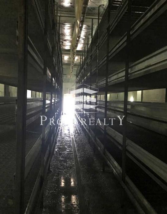 Продаж бізнесу з вирощування печериці