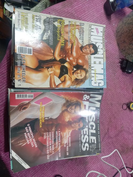 Musculatura  fitness