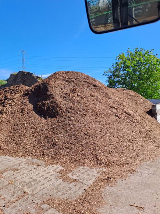 Kora sosnowa  drobna