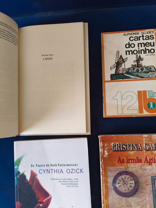 Lote 4 Livros Ficção Universal Clássica e Grandes Dramas Familiares