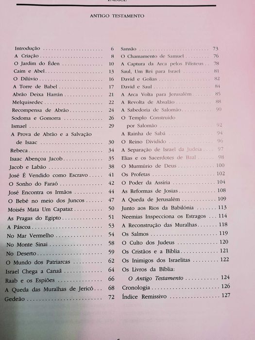 A Bíblia ao Vivo; Novo e Antigo Testamento ( envio grátis)