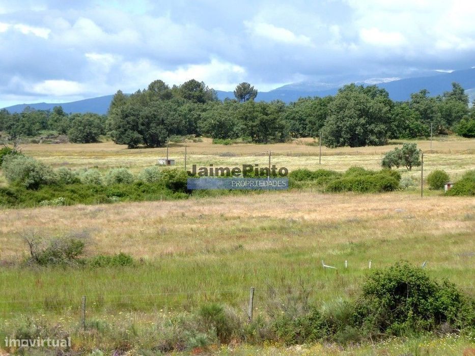 80.1-hectare Agricultural Farm Property. Portugal, Belmonte, Castelo...