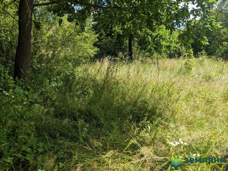 Продається земля 8,24сот в с.Павлівка, СТ Сантехник під забудову (5) - Більше