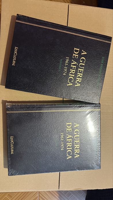 A Guerra de África
