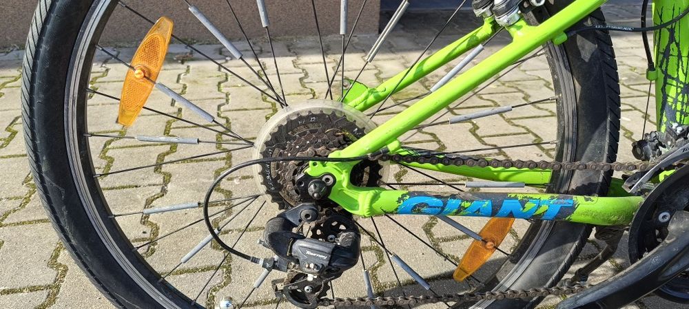 Rower giant split 26