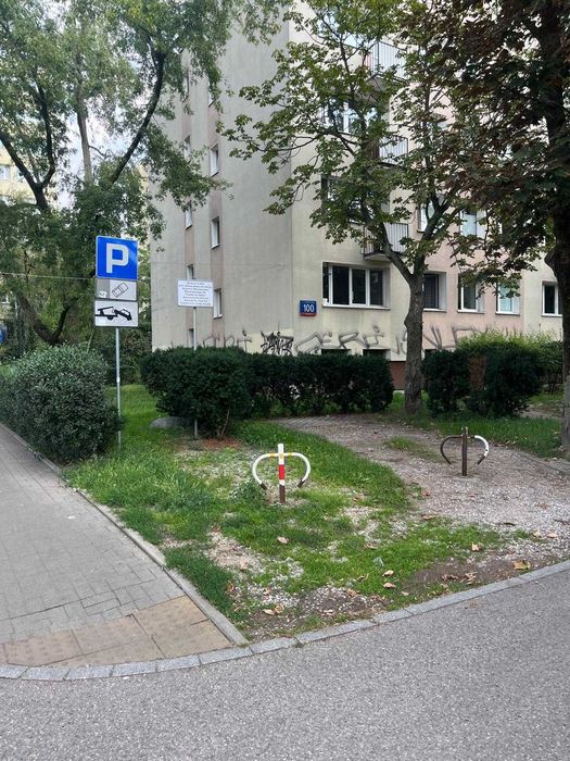 Zdjęcie 7