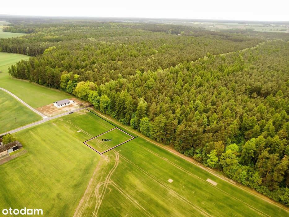 Działka budowlana 1160 m² Bory Tucholskie – przy ścianie lasu