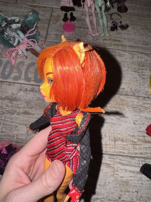 Торалей Monster high