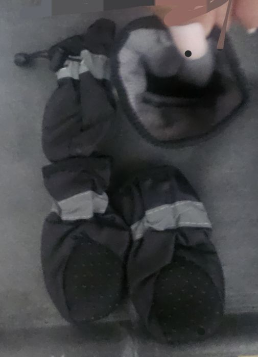 Botas para cão/gato