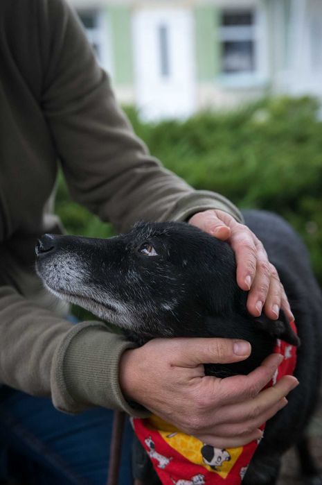 Fanta – pełna nadziei, czeka na dom