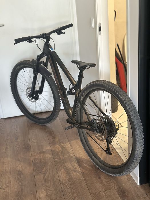 Bicicleta trail trek roscoe 7