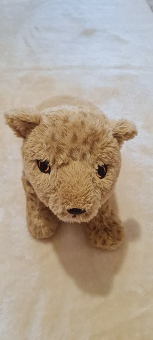 Vários peluches pequenos