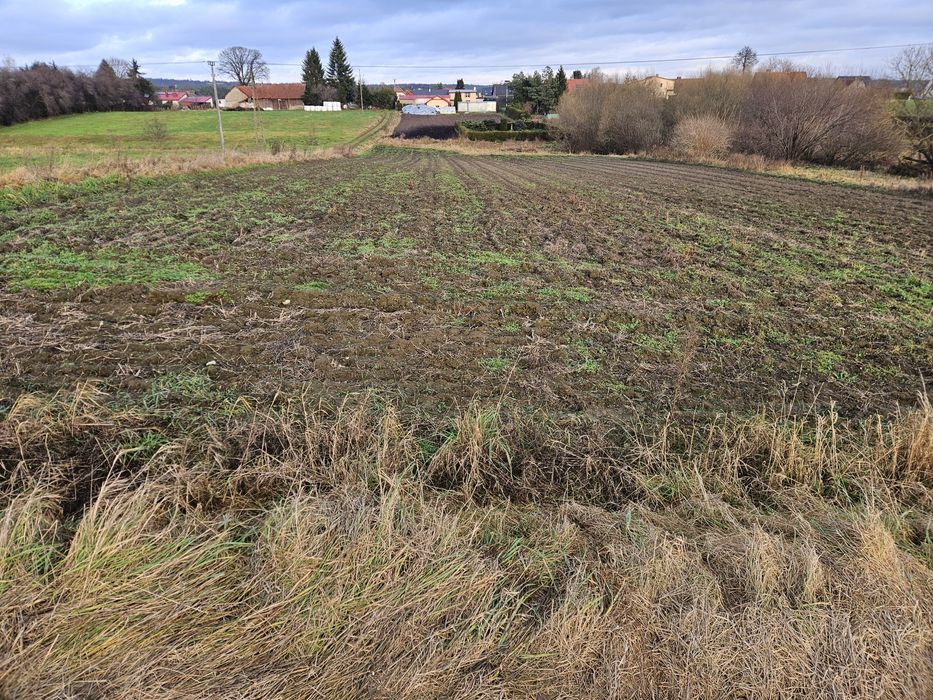 Działki Zwierzewo Mazury